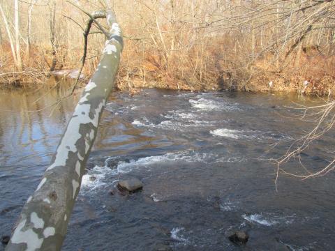 Land of Nye, North Country, Bear River