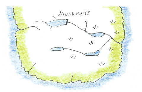 Land of Muskrats, Land of Nye, The Letters and Diaries of Queen Chipsa